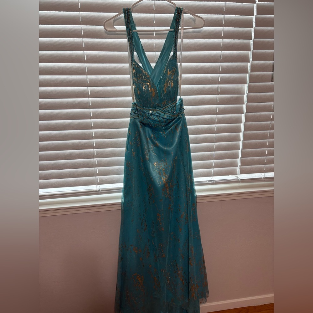 Prom/pageant dress
